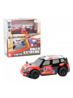Rally Extreme Mini radiocontrol